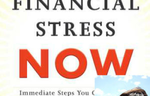 End Financial Stress Now by Emily Guy Birken