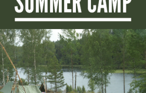 Listen to PT's podcast interview with Lori. She started her very own summer camp - Cub Creek Science Camp. She is earning extra money and giving kids a great place to come in the summer. Listen in to see if starting a summer camp coud work for you!